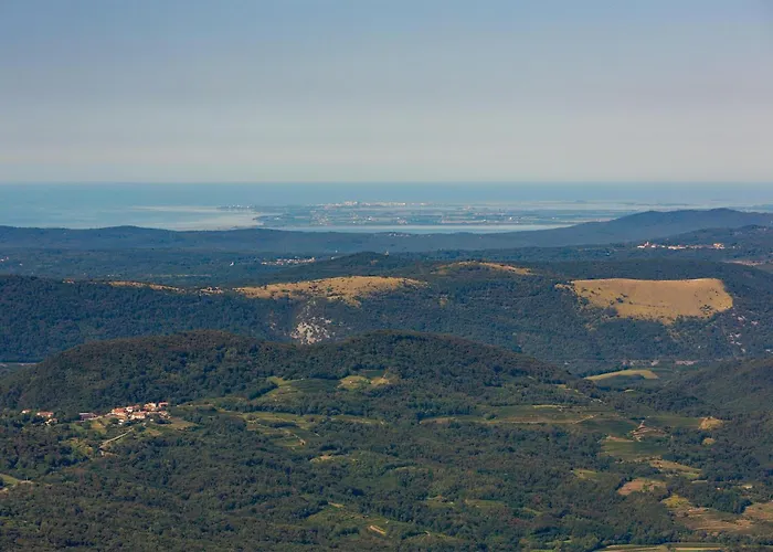 Apartamento 1 Bedroom In